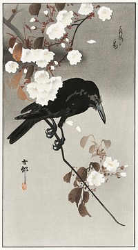 Crow and cherry blossom (1930 - 1975) by <a href="https://www.rawpixel.com/search/Ohara%20Koson?sort=curated&amp;page=1">Ohara Koson</a> (1877-1945). Original from The Rijksmuseum. Digitally enhanced by rawpixel.