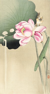 Songbird and Lotus (1900 - 1936) by Ohara Koson (1877-1945). Original from The Rijksmuseum. Digitally enhanced by rawpixel.