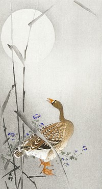Goose at full moon (1900 - 1936) by <a href="https://www.rawpixel.com/search/Ohara%20Koson?sort=curated&amp;page=1">Ohara Koson</a> (1877-1945). Original from The Rijksmuseum. Digitally enhanced by rawpixel.