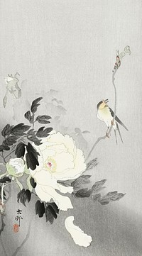 Swallow with Peony (1900 - 1930) by <a href="https://www.rawpixel.com/search/Ohara%20Koson?sort=curated&amp;page=1">Ohara Koson</a> (1877-1945). Original from The Rijksmuseum. Digitally enhanced by rawpixel.