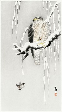 Hawk with captured ring sparrow (1900 - 1930) by <a href="https://www.rawpixel.com/search/Ohara%20Koson?sort=curated&amp;page=1">Ohara Koson</a> (1877-1945). Original from The Rijksmuseum. Digitally enhanced by rawpixel.