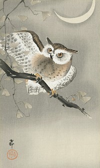 Long-eared owl in ginkgo (1900 - 1930) by <a href="https://www.rawpixel.com/search/Ohara%20Koson?sort=curated&amp;page=1">Ohara Koson</a> (1877-1945). Original from The Rijksmuseum. Digitally enhanced by rawpixel.