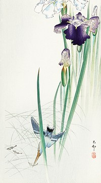 Kingfisher and irises (1900 - 1930) by <a href="https://www.rawpixel.com/search/Ohara%20Koson?sort=curated&amp;page=1">Ohara Koson</a> (1877-1945). Original from The Rijksmuseum. Digitally enhanced by rawpixel.