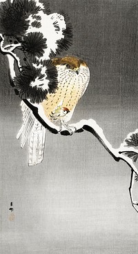 Hawk with sparrow (1900 - 1930) by <a href="https://www.rawpixel.com/search/Ohara%20Koson?sort=curated&amp;page=1">Ohara Koson</a> (1877-1945). Original from The Rijksmuseum. Digitally enhanced by rawpixel.
