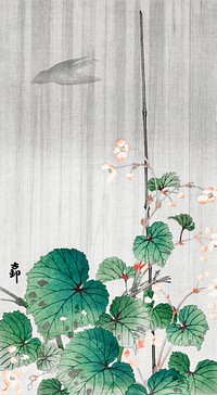 Begonia in the rain (1930 - 1945) by <a href="https://www.rawpixel.com/search/Ohara%20Koson?sort=curated&amp;page=1">Ohara Koson</a> (1877-1945). Original from The Rijksmuseum. Digitally enhanced by rawpixel.