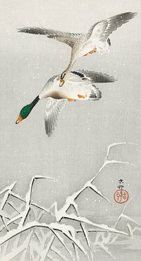 Two wild ducks in flight (1900 - 1936) by <a href="https://www.rawpixel.com/search/Ohara%20Koson?sort=curated&amp;page=1">Ohara Koson</a> (1877-1945). Original from The Rijksmuseum. Digitally enhanced by rawpixel.