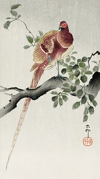 Copper pheasant (1900 - 1930) by <a href="https://www.rawpixel.com/search/Ohara%20Koson?sort=curated&amp;page=1">Ohara Koson</a> (1877-1945). Original from The Rijksmuseum. Digitally enhanced by rawpixel.