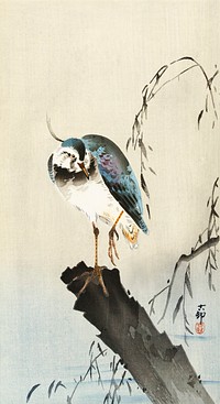 Lapwing on tree stump (1900 - 1930) by <a href="https://www.rawpixel.com/search/Ohara%20Koson?sort=curated&amp;page=1">Ohara Koson</a> (1877-1945). Original from The Rijksmuseum. Digitally enhanced by rawpixel.