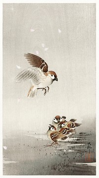Tree sparrow with boy (1900 - 1936) by <a href="https://www.rawpixel.com/search/Ohara%20Koson?sort=curated&amp;page=1">Ohara Koson</a> (1877-1945). Original from The Rijksmuseum. Digitally enhanced by rawpixel.