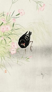 Moorhen at flowering plant (1900 - 1936) by <a href="https://www.rawpixel.com/search/Ohara%20Koson?sort=curated&amp;page=1">Ohara Koson</a> (1877-1945). Original from The Rijksmuseum. Digitally enhanced by rawpixel.