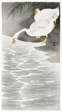 Geese on the shore (1900 - 1930) by <a href="https://www.rawpixel.com/search/Ohara%20Koson?sort=curated&amp;page=1">Ohara Koson</a> (1877-1945). Original from The Rijksmuseum. Digitally enhanced by rawpixel.