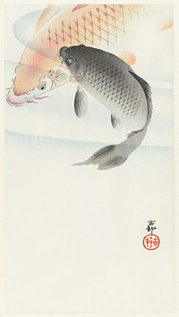 Two carp (1900 - 1930) by <a href="https://www.rawpixel.com/search/Ohara%20Koson?sort=curated&amp;page=1">Ohara Koson</a> (1877-1945). Original from The Rijksmuseum. Digitally enhanced by rawpixel.