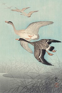 Great geese in flight (1925 - 1936) by <a href="https://www.rawpixel.com/search/Ohara%20Koson?sort=curated&amp;page=1">Ohara Koson</a> (1877-1945). Original from The Rijksmuseum. Digitally enhanced by rawpixel.
