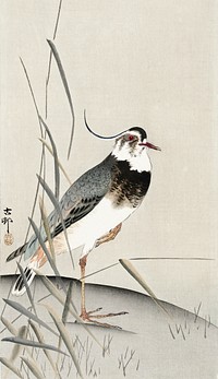 Lapwing and reed, Ohara Koson (1900 - 1930) by Ohara Koson (1877-1945). Original from The Rijksmuseum. Digitally enhanced by rawpixel.