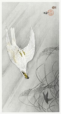 Hunting hawk (1900 - 1910) by <a href="https://www.rawpixel.com/search/Ohara%20Koson?sort=curated&amp;page=1">Ohara Koson</a> (1877-1945). Original from The Rijksmuseum. Digitally enhanced by rawpixel.
