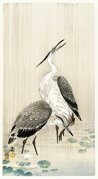 Two herons in the rain (1900 - 1910) by <a href="https://www.rawpixel.com/search/Ohara%20Koson?sort=curated&amp;page=1">Ohara Koson</a> (1877-1945). Original from The Rijksmuseum. Digitally enhanced by rawpixel.