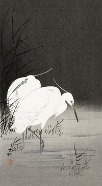 Two egrets in the reeds (1900 - 1930) by <a href="https://www.rawpixel.com/search/Ohara%20Koson?sort=curated&amp;page=1">Ohara Koson</a> (1877-1945). Original from The Rijksmuseum. Digitally enhanced by rawpixel.