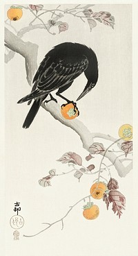 Crow with kaki fruit (1900 - 1910) by <a href="https://www.rawpixel.com/search/Ohara%20Koson?sort=curated&amp;page=1">Ohara Koson</a> (1877-1945). Original from The Rijksmuseum. Digitally enhanced by rawpixel.