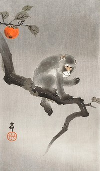 Monkey in cockatoo (1900 - 1930) by <a href="https://www.rawpixel.com/search/Ohara%20Koson?sort=curated&amp;page=1">Ohara Koson</a> (1877-1945). Original from The Rijksmuseum. Digitally enhanced by rawpixel.