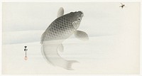 Carp and fly (1900 - 1930) by <a href="https://www.rawpixel.com/search/Ohara%20Koson?sort=curated&amp;page=1">Ohara Koson</a> (1877-1945). Original from The Rijksmuseum. Digitally enhanced by rawpixel.
