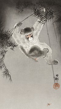 Monkey, hanging from bamboo branch (1900 - 1930) by <a href="https://www.rawpixel.com/search/Ohara%20Koson?sort=curated&amp;page=1">Ohara Koson</a> (1877-1945). Original from The Rijksmuseum. Digitally enhanced by rawpixel.