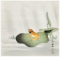 Frog on lotus leaf (1900 - 1930) by <a href="https://www.rawpixel.com/search/Ohara%20Koson?sort=curated&amp;page=1">Ohara Koson</a> (1877-1945). Original from The Rijksmuseum. Digitally enhanced by rawpixel.