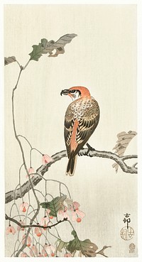 Crossbill on tree branch (1900 - 1910) by <a href="https://www.rawpixel.com/search/Ohara%20Koson?sort=curated&amp;page=1">Ohara Koson</a> (1877-1945). Original from The Rijksmuseum. Digitally enhanced by rawpixel.