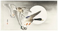 Two ducks at full moon (1900 - 1930) by <a href="https://www.rawpixel.com/search/Ohara%20Koson?sort=curated&amp;page=1">Ohara Koson</a> (1877-1945). Original from The Rijksmuseum. Digitally enhanced by rawpixel.