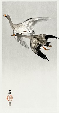 Great geese, flying in the snow (1900 - 1910) by <a href="https://www.rawpixel.com/search/Ohara%20Koson?sort=curated&amp;page=1">Ohara Koson</a> (1877-1945). Original from The Rijksmuseum. Digitally enhanced by rawpixel.