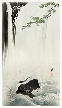 Japanese wagtail at waterfall (1900 - 1930) by <a href="https://www.rawpixel.com/search/Ohara%20Koson?sort=curated&amp;page=1">Ohara Koson</a> (1877-1945). Original from The Rijksmuseum. Digitally enhanced by rawpixel.