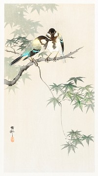 Great tits on maple branch (1900 - 1936) by <a href="https://www.rawpixel.com/search/Ohara%20Koson?sort=curated&amp;page=1">Ohara Koson</a> (1877-1945). Original from The Rijksmuseum. Digitally enhanced by rawpixel.