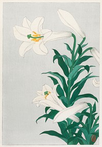 Lilies, Ohara ( 1920 - 1930) by <a href="https://www.rawpixel.com/search/Ohara%20Koson?sort=curated&amp;page=1">Ohara Koson</a> (1877-1945). Original from The Rijksmuseum. Digitally enhanced by rawpixel.