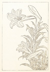 Lilies, Ohara Koson (1920 - 1930) by Ohara Koson (1877-1945). Original from The Rijksmuseum. Digitally enhanced by rawpixel.