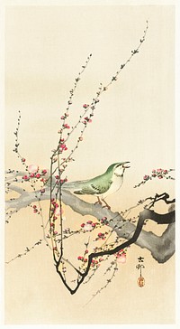 Songbird and plum blossom (1900 - 1936) by <a href="https://www.rawpixel.com/search/Ohara%20Koson?sort=curated&amp;page=1">Ohara Koson</a> (1877-1945). Original from The Rijksmuseum. Digitally enhanced by rawpixel.