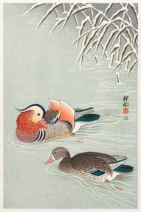 Mandarin ducks (1925 - 1936) by <a href="https://www.rawpixel.com/search/Ohara%20Koson?sort=curated&amp;page=1">Ohara Koson</a> (1877-1945). Original from The Rijksmuseum. Digitally enhanced by rawpixel.