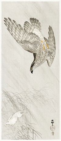 Hawk hunting a hare (1900 - 1910) by <a href="https://www.rawpixel.com/search/Ohara%20Koson?sort=curated&amp;page=1">Ohara Koson</a> (1877-1945). Original from The Rijksmuseum. Digitally enhanced by rawpixel.