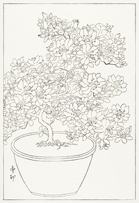 Blooming azalea in pot (1920 - 1930) by <a href="https://www.rawpixel.com/search/Ohara%20Koson?sort=curated&amp;page=1">Ohara Koson</a> (1877-1945). Original from The Rijksmuseu. Digitally enhanced by rawpixel.