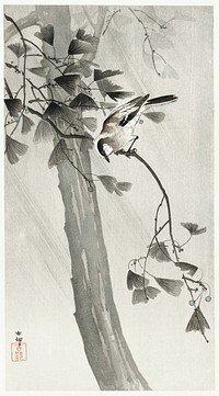 Long-tailed tit in storm (1900 - 1936) by Ohara Koson (1877-1945). Original from The Rijksmuseum. Digitally enhanced by rawpixel.