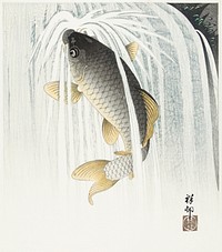 Carp (1935) by <a href="https://www.rawpixel.com/search/Ohara%20Koson?sort=curated&amp;page=1">Ohara Koson</a> (1877-1945). Original from The Rijksmuseum. Digitally enhanced by rawpixel.