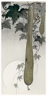 Wild cucumber and a full moon (1877-1945) by <a href="https://www.rawpixel.com/search/Ohara%20Koson?sort=curated&amp;page=1">Ohara Koson</a> (1877-1945). Original from The Rijksmuseum. Digitally enhanced by rawpixel.