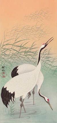 Two cranes (1925 - 1936) by <a href="https://www.rawpixel.com/search/Ohara%20Koson?sort=curated&amp;page=1">Ohara Koson</a> (1877-1945). Original from The Rijksmuseum. Digitally enhanced by rawpixel.