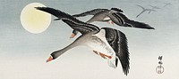 Birds at full moon (1900 - 1936) by <a href="https://www.rawpixel.com/search/Ohara%20Koson?sort=curated&amp;page=1">Ohara Koson</a> (1877-1945). Original from The Rijksmuseum. Digitally enhanced by rawpixel.
