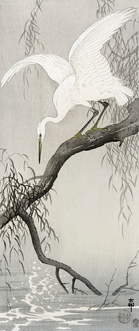 White heron on tree branch (1900 - 1910) by <a href="https://www.rawpixel.com/search/Ohara%20Koson?sort=curated&amp;page=1">Ohara Koson</a> (1877-1945). Original from The Rijksmuseum. Digitally enhanced by rawpixel.