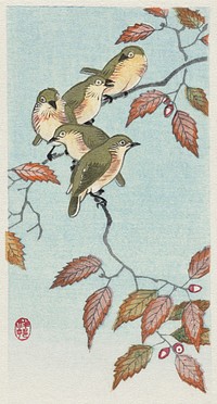 Birds on a branch (1900 - 1936) by <a href="https://www.rawpixel.com/search/Ohara%20Koson?sort=curated&amp;page=1">Ohara Koson</a> (1877-1945). Original from The Rijksmuseum. Digitally enhanced by rawpixel.