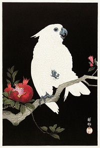 Cockatoo and pomegranate (1925 - 1936) by <a href="https://www.rawpixel.com/search/Ohara%20Koson?sort=curated&amp;page=1">Ohara Koson</a> (1877-1945). Original from The Rijksmuseum. Digitally enhanced by rawpixel.