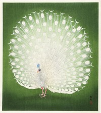 Peacock (1925 - 1936) by <a href="https://www.rawpixel.com/search/Ohara%20Koson?sort=curated&amp;page=1">Ohara Koson</a> (1877-1945). Original from The Rijksmuseum. Digitally enhanced by rawpixel.