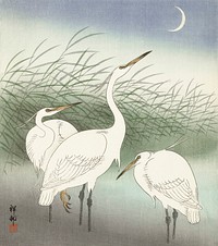 Herons in shallow water (1934) by <a href="https://www.rawpixel.com/search/Ohara%20Koson?sort=curated&amp;page=1">Ohara Koson</a> (1877-1945). Original from The Rijksmuseum. Digitally enhanced by rawpixel.