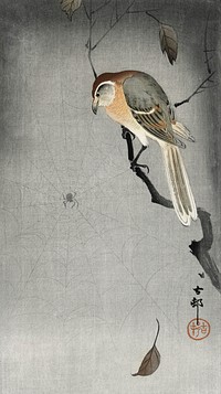 Buffalo wing shrike and spider (1900 - 1930) by <a href="https://www.rawpixel.com/search/Ohara%20Koson?sort=curated&amp;page=1">Ohara Koson</a> (1877-1945). Original from The Rijksmuseum. Digitally enhanced by rawpixel.