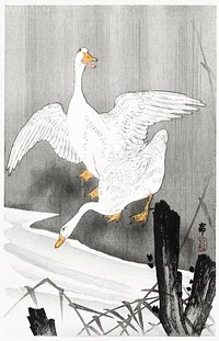 Two geese on a river (1900 - 1930) by <a href="https://www.rawpixel.com/search/Ohara%20Koson?sort=curated&amp;page=1">Ohara Koson</a> (1877-1945). Original from The Rijksmuseum. Digitally enhanced by rawpixel.