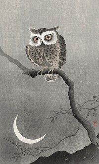Long-eared owl on bare tree branch (1900 - 1930) by <a href="https://www.rawpixel.com/search/Ohara%20Koson?sort=curated&amp;page=1">Ohara Koson</a> (1877-1945). Original from The Rijksmuseum. Digitally enhanced by rawpixel.